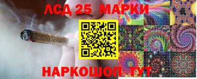 гидропоника Кулебаки