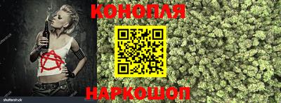стаф Кунгур