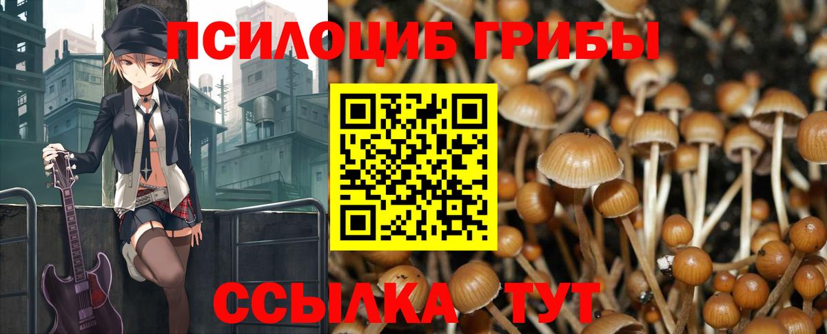 Псилоцибиновые грибы Magic Shrooms Сыктывкар