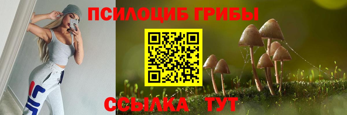 Псилоцибиновые грибы Psilocybe  Вход с VPN  Сыктывкар  Псилоцибиновые грибы MAGIC MUSHROOMS 